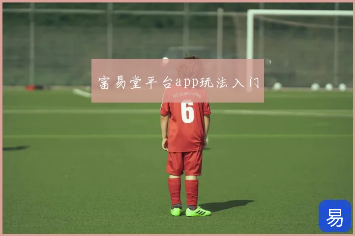 富易堂平台app玩法入门