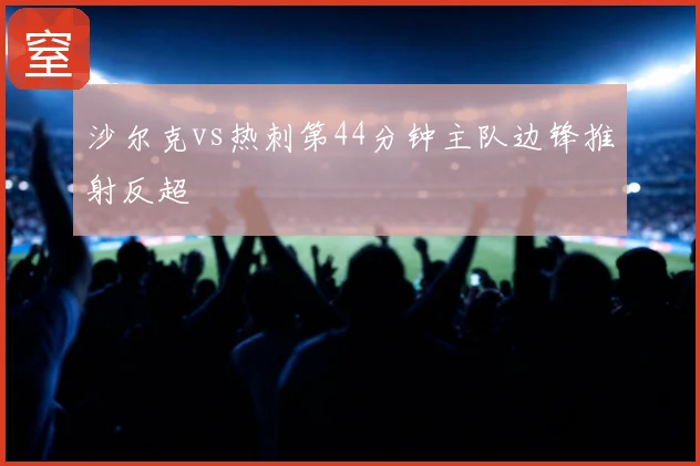 沙尔克vs热刺第44分钟主队边锋推射反超
